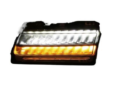 Jeep 55112884AF LAMP Park and Turn Signal