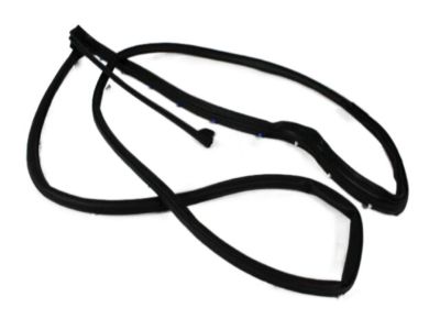Ram 1500 Door Seal - 55112375AH