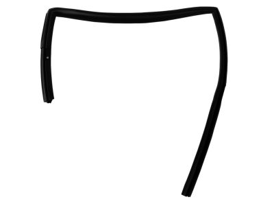 Mopar 5074019AH Weatherstrip Rear Door Flush Glass