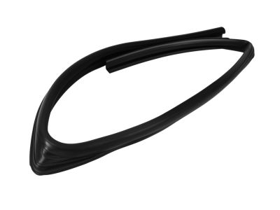 Mopar 5074019AH Weatherstrip Rear Door Flush Glass