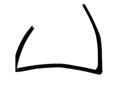 Mopar 5074019AH Weatherstrip Rear Door Flush Glass