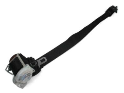 Jeep 1GE12DX9AC Outer Belt