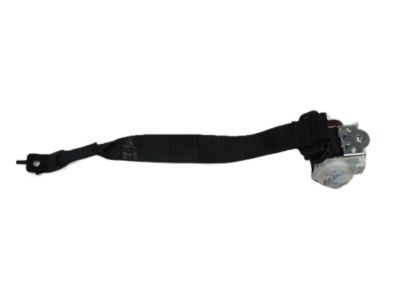Jeep 1GE12DX9AC Outer Belt
