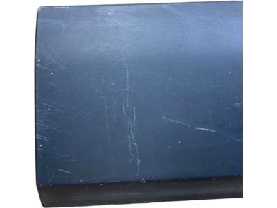 Mopar 1YW33RXFAB Molding Front Door