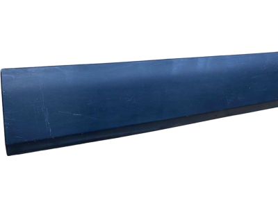 Mopar 1YW33RXFAB Molding Front Door