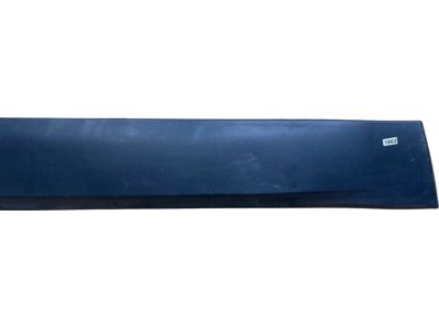 Mopar 1YW33RXFAB Molding Front Door