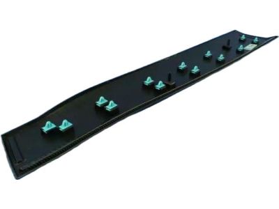 Mopar 1YW33RXFAB Molding Front Door