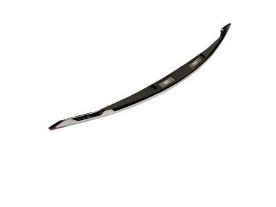 Mopar 5182606AE Applique License Lamp