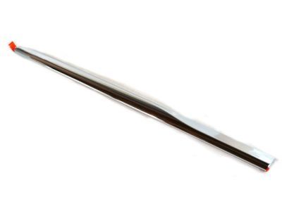 2024 Chrysler Voyager Door Moldings - 68228677AB