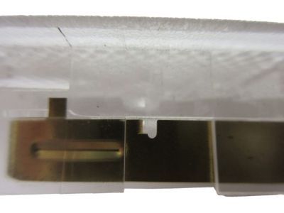 Dodge 68088801AA LAMP Courtesy