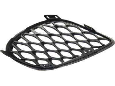 Dodge 68280493AA Lamp Cover