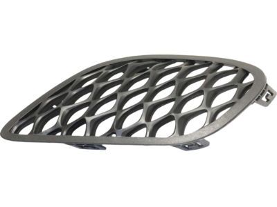 Dodge 68280493AA Lamp Cover