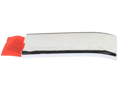 Ram 5ZH29SZ0AA Body Side Molding