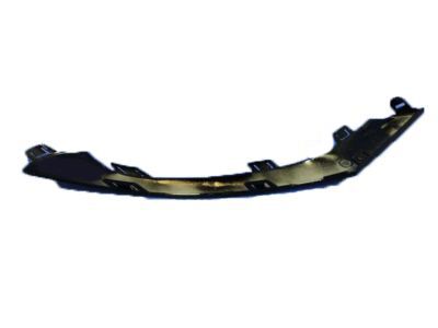 Chrysler 6CZ47NTSAA Outer Molding