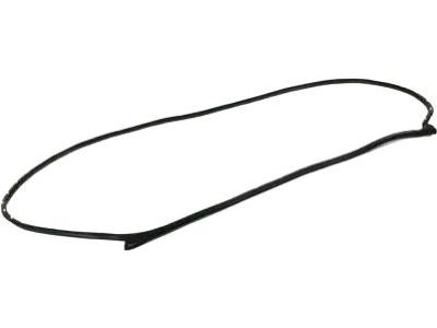 Mopar 68291602AC Weatherstrip Front Door Mounted