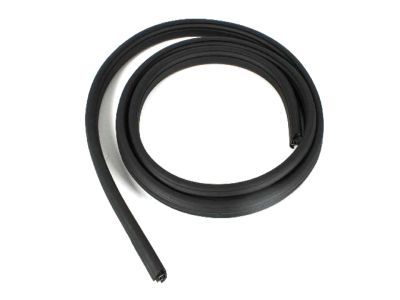 Mopar 55359712AF Seal Rear Door