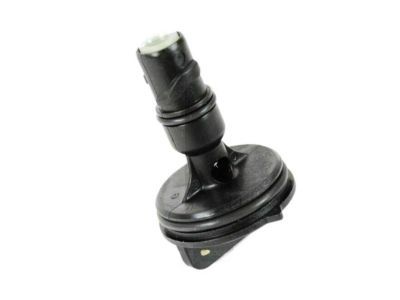 Ram Dipstick Tube - 53032934AB