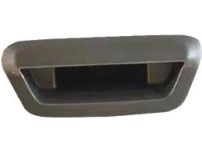 Mopar 5VF90DX8AC Handle Liftgate, Rear