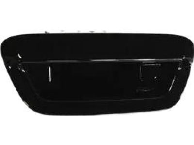 Mopar 5VF90DX8AC Handle Liftgate, Rear