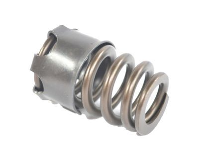 Jeep 53021873AA Valve Springs