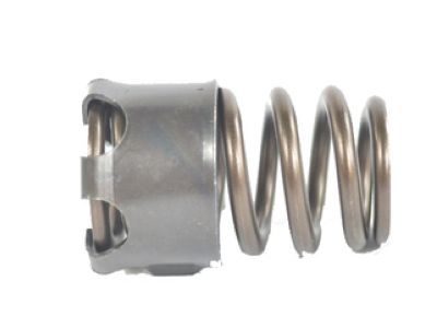 Jeep 53021873AA Valve Springs
