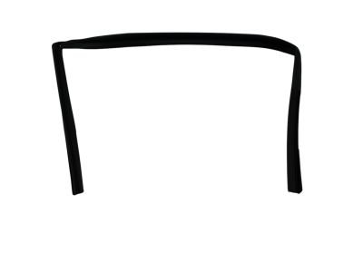 Mopar 5074561AH Weatherstrip Front Door Glass