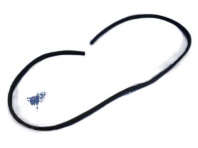 Ram 55112128AG Surround Weatherstrip
