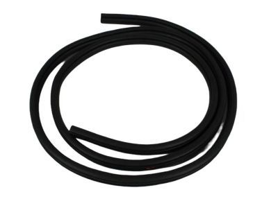 Ram 1500 Door Seal - 55369282AB