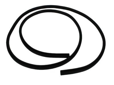 Ram 1500 Door Seal - 55369282AB