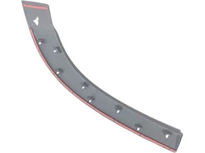 Ram 5LP21LAHAA MOLDING Door Outside