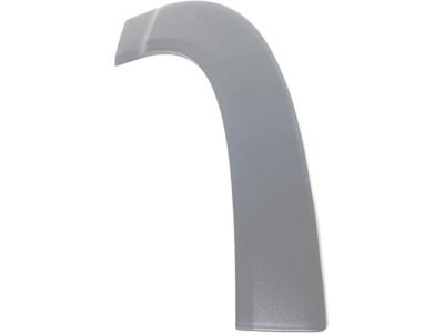 Ram 5LP21LAHAA MOLDING Door Outside