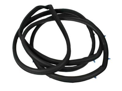 Chrysler Door Seal - 4717720AA