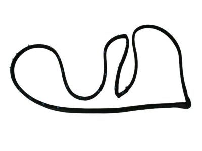 Chrysler Door Seal - 4717720AA