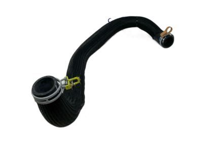 Dodge Charger Radiator Hose - 4598096AH