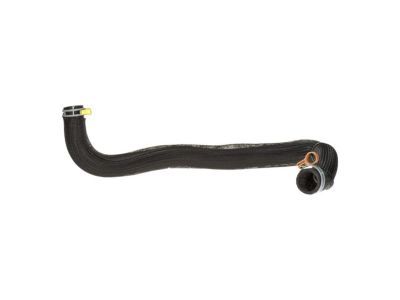 Dodge Charger Radiator Hose - 4598096AH
