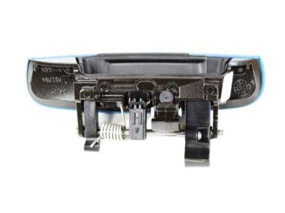 Dodge 1MZ84FQDAH HANDLE Front Door Exterior