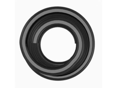 Jeep 68029631AE SPRING Front Coil