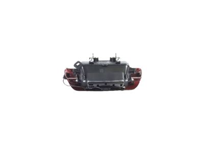 Mopar 6RN76NRVAA Handle Tailgate