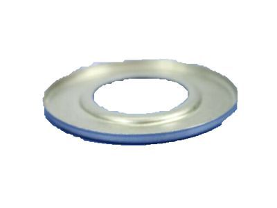 Dodge 4659290 DAM Differential Extension Oil