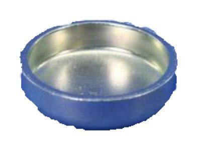 Dodge 4663941AB PLUG Core [1 Inch]