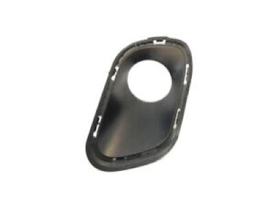 Jeep 68203225AA Lamp Cover