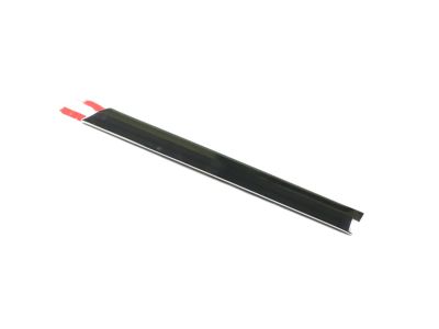 Mopar 68264663AA Molding Bodyside