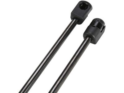 Chrysler 300 Lift Support - 55113777AC