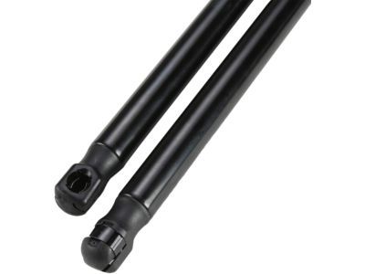 Chrysler 300 Lift Support - 55113777AC