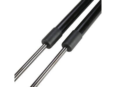 Chrysler 300 Lift Support - 55113777AC