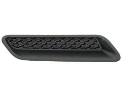 Ram 68324990AA Bezel