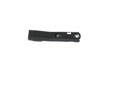 Mopar 6CZ001X7AA Buckle Assembly Buckle Assembly - Seat Belt