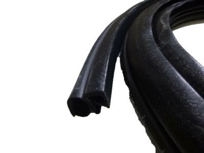 Mopar UJ30XXXAF Weatherstrip Front Door Opening