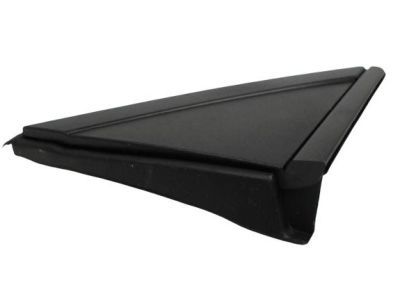 Dodge 1AN68RXFAA APPLIQUE MIRROR FLAG