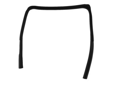 Mopar 55372136AE Seal Rear Door